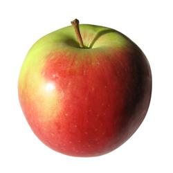 äpple