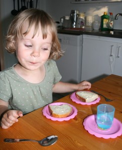 Picknick-middag