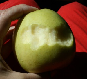 Tuggat äpple