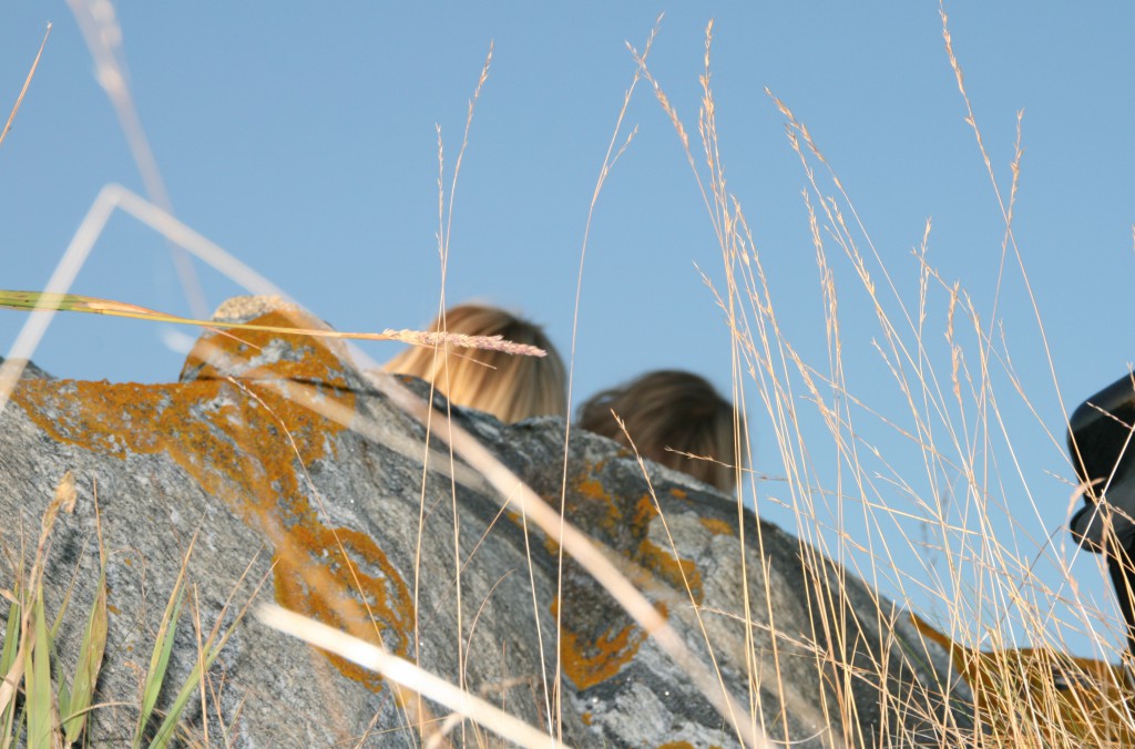 Två ungar på en klippa