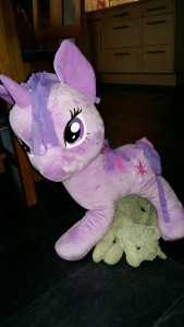 Katt under Pony